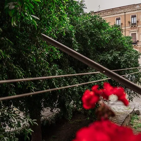 Bed And Books Bed and breakfast *