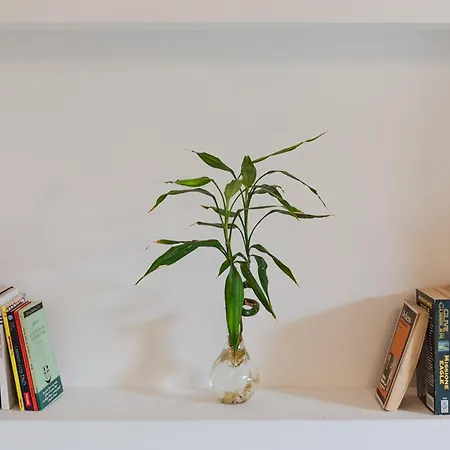 Bed And Books Bed and breakfast Catania